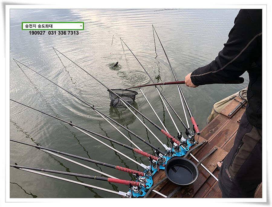 꾸준한 상면 (유료터정보 - 유료터점주조황)