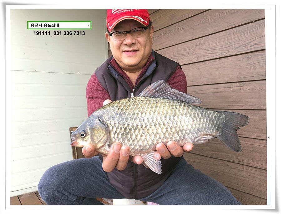 오랜만에 가을비 (유료터정보 - 유료터점주조황)