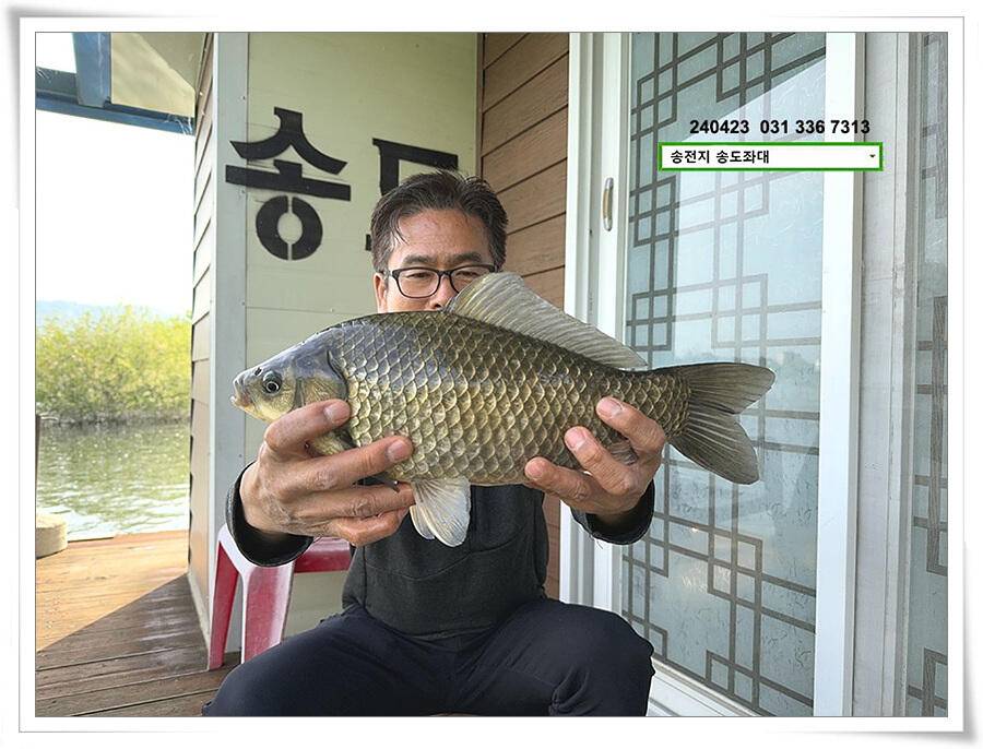 대낮에 한 4짜 (유료터정보 - 유료터점주조황)