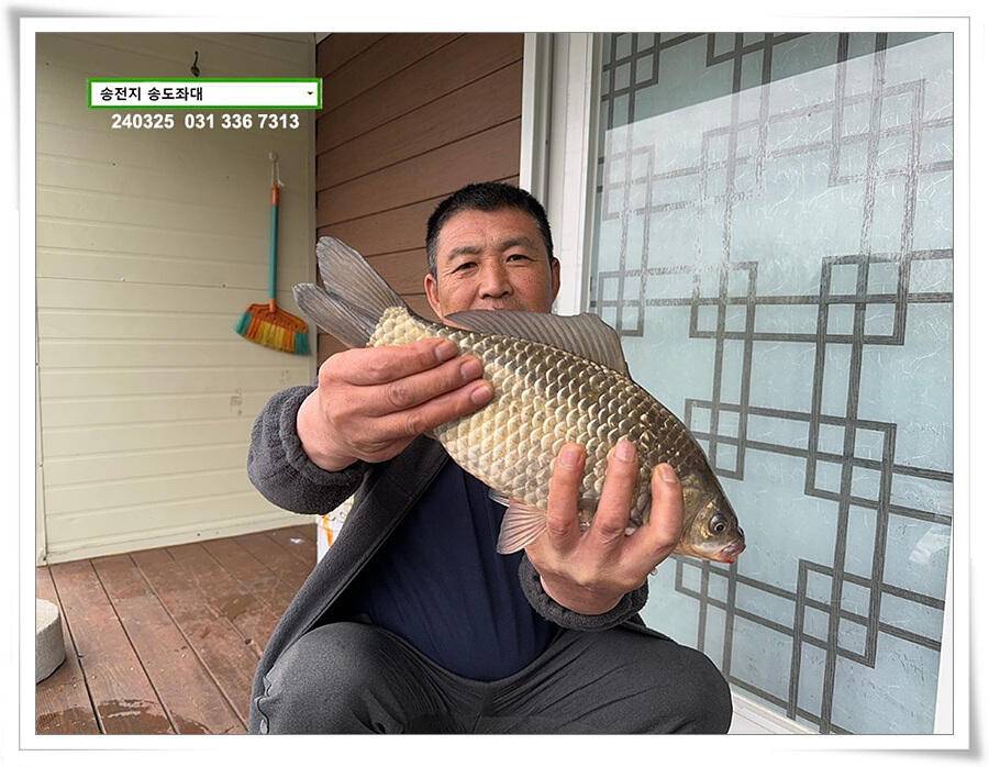 봄 볕에 4짜 (유료터정보 - 유료터점주조황)
