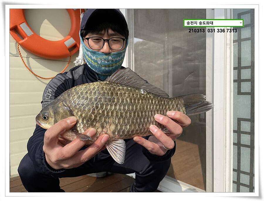 봄 붕어 제오시는 송전지 송도좌대 조황 (유료터정보 - 유료터점주조황)