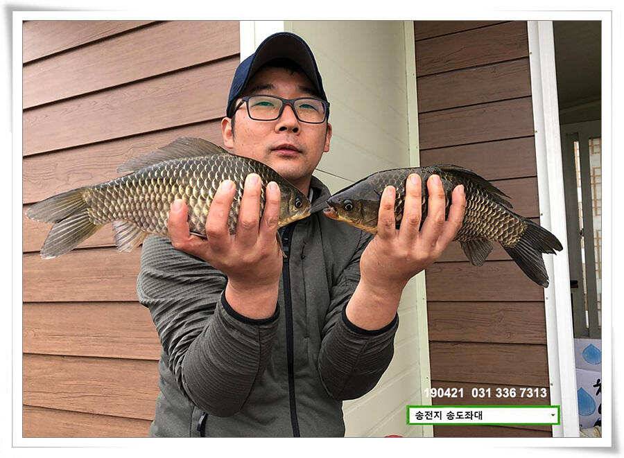 송전지 송도좌대 조황 (유료터정보 - 유료터점주조황)