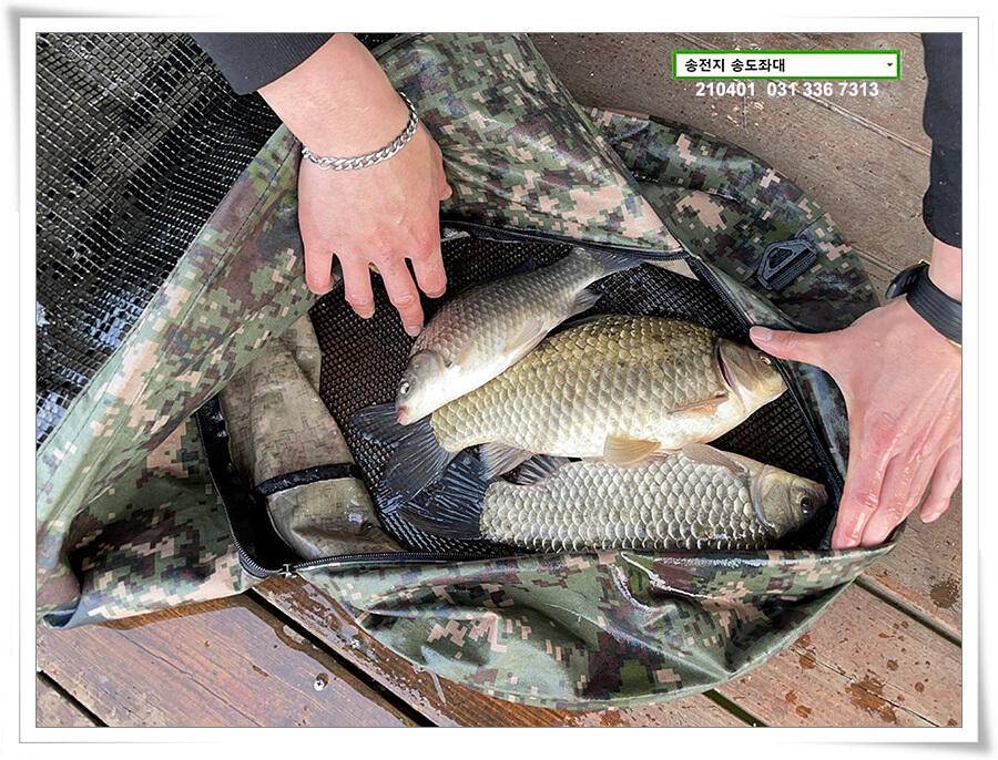 4짜 잼 꿀 잼 용인송전지 송도좌대 조황 (유료터정보 - 유료터점주조황)