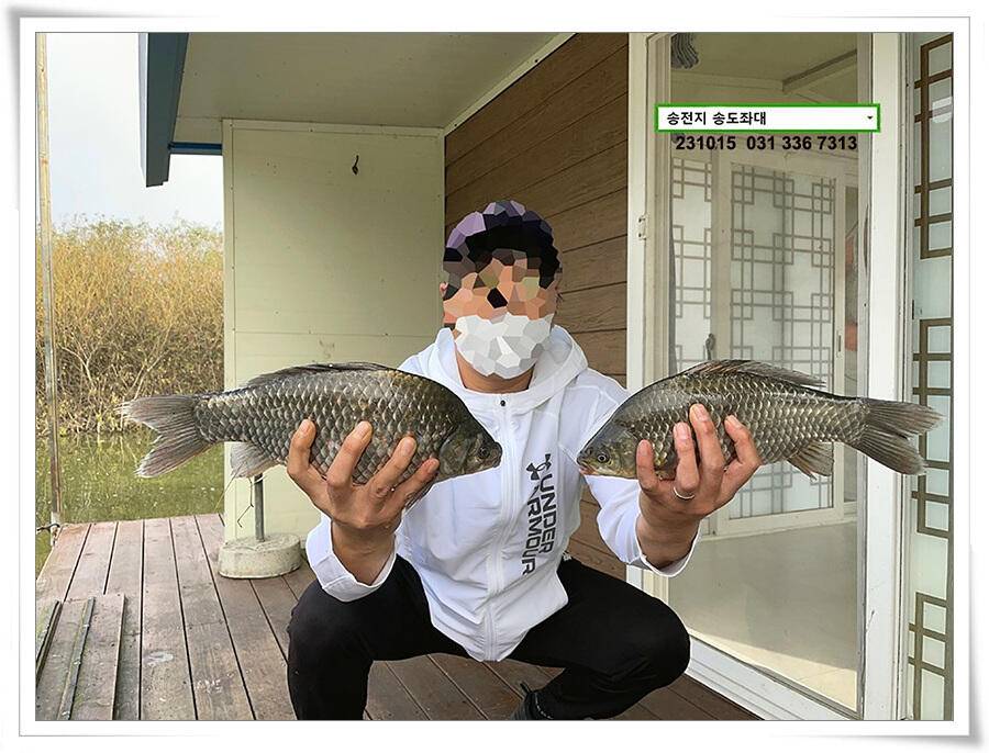 마릿수 (유료터정보 - 유료터점주조황)