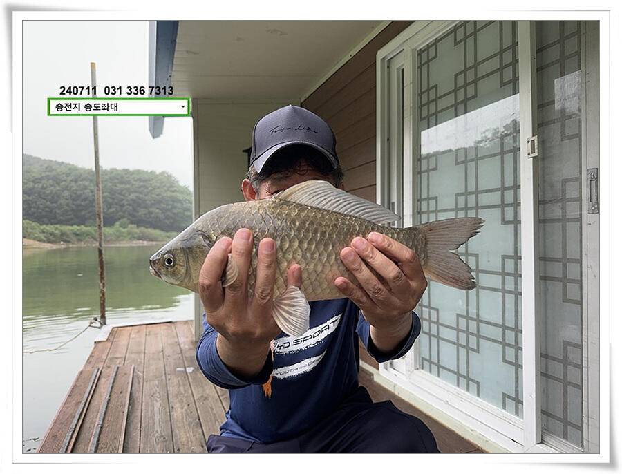 오랜만에 볕 받아내기 (유료터정보 - 유료터점주조황)