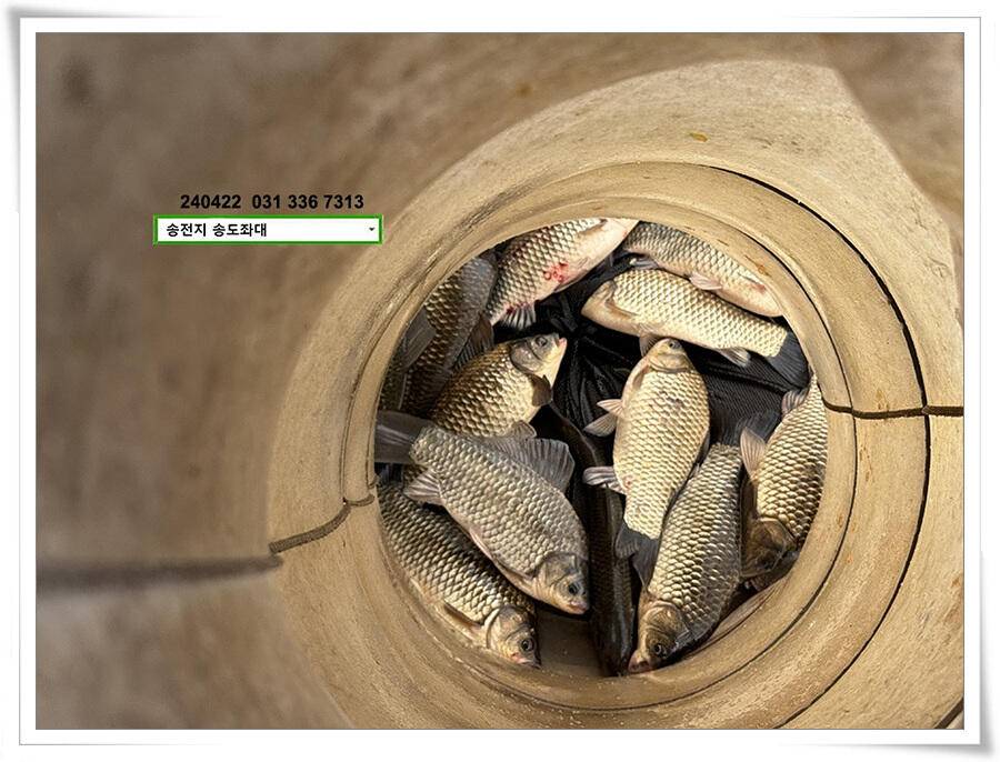 대낮에 한 4짜 (유료터정보 - 유료터점주조황)