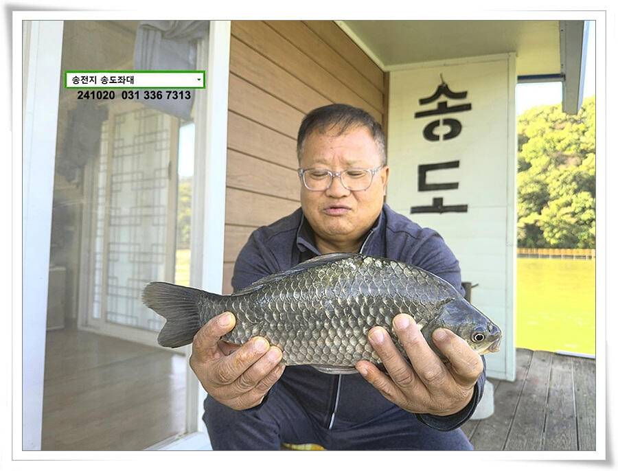 안정된 오름세 (유료터정보 - 유료터점주조황)