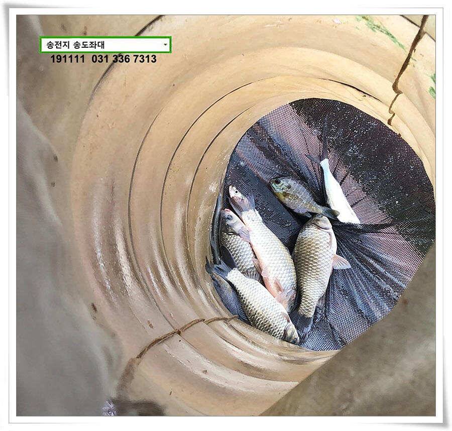 오랜만에 가을비 (유료터정보 - 유료터점주조황)