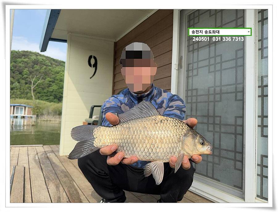 계절의 여왕 5월 첫 덩어리 (유료터정보 - 유료터점주조황)