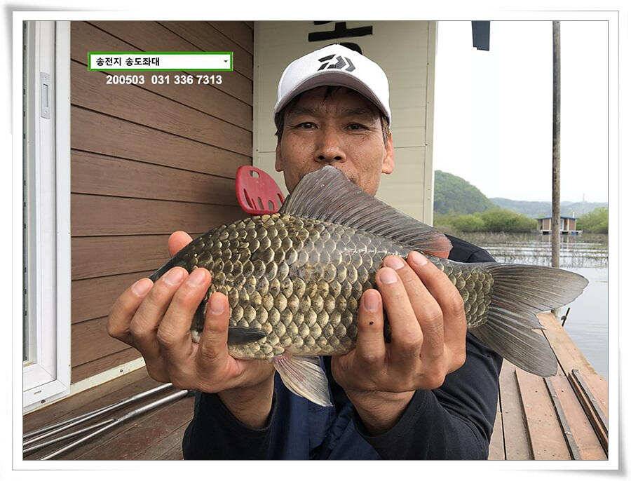 송전지 송도좌대 연휴조황 (유료터정보 - 유료터점주조황)