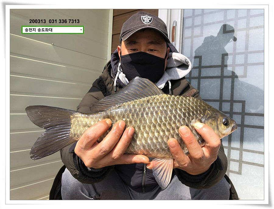 송전지 송도집 좌대 조황 (유료터정보 - 유료터점주조황)