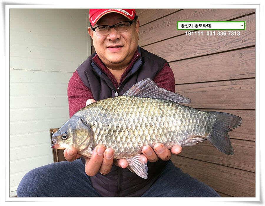 오랜만에 가을비 (유료터정보 - 유료터점주조황)