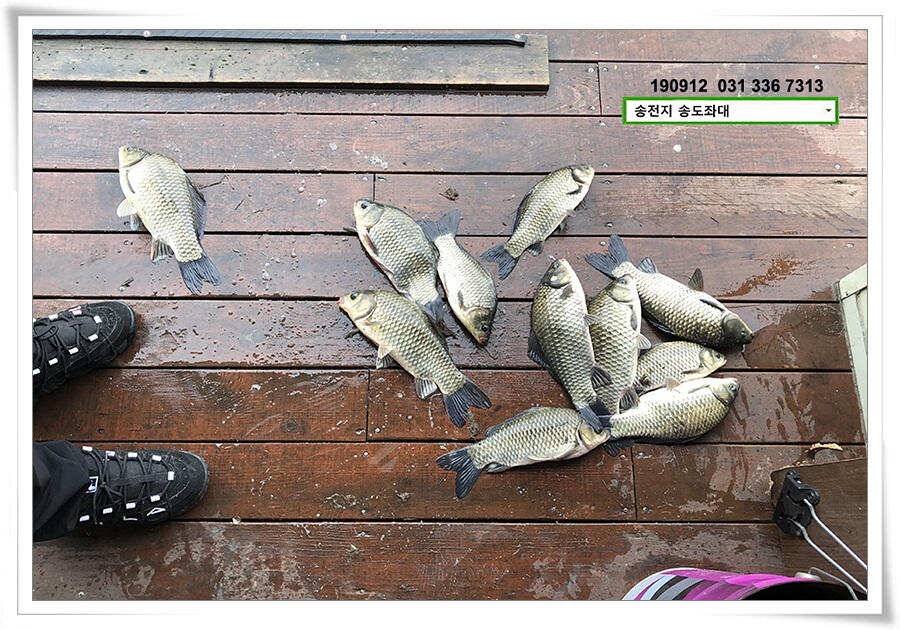 만월 닮아가기 (유료터정보 - 유료터점주조황)