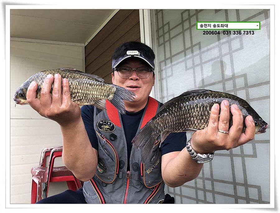 송전지 송도좌대 조황 (유료터정보 - 유료터점주조황)