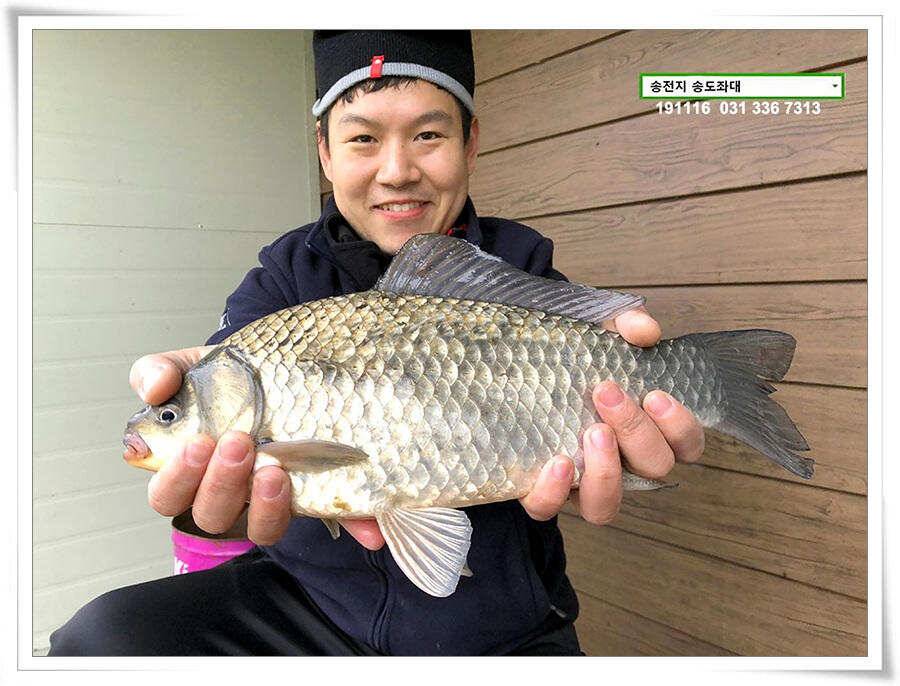 마지막 덩어리 (유료터정보 - 유료터점주조황)