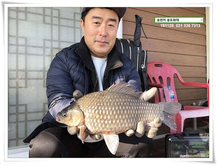 19 Season Off (유료터정보 - 유료터점주조황)