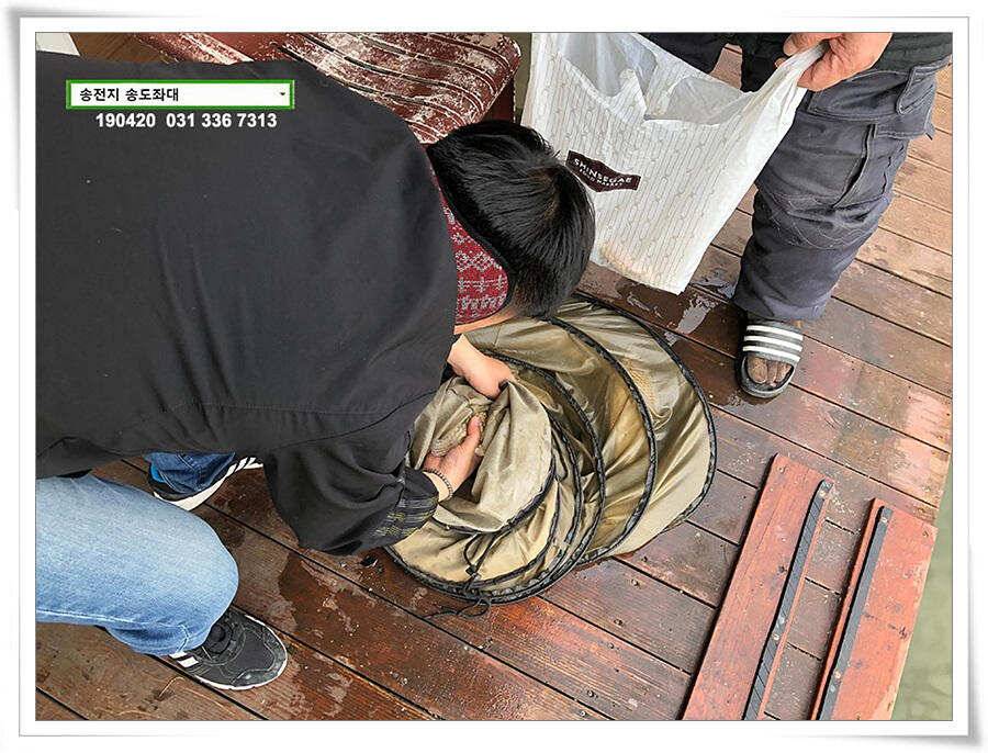 송전지 송도좌대 조황 (유료터정보 - 유료터점주조황)