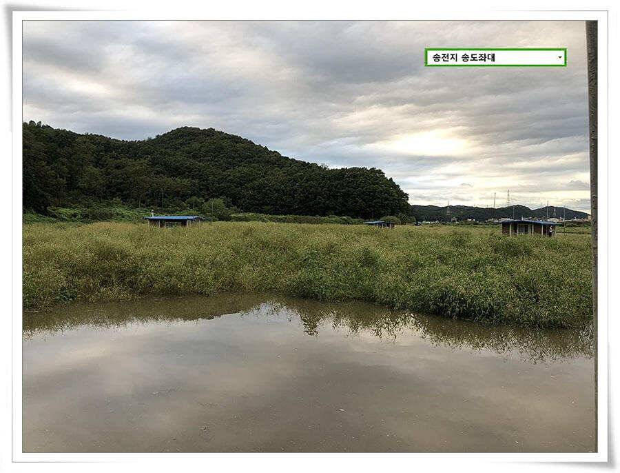 연휴 끝에 가을 볕 (유료터정보 - 유료터점주조황)