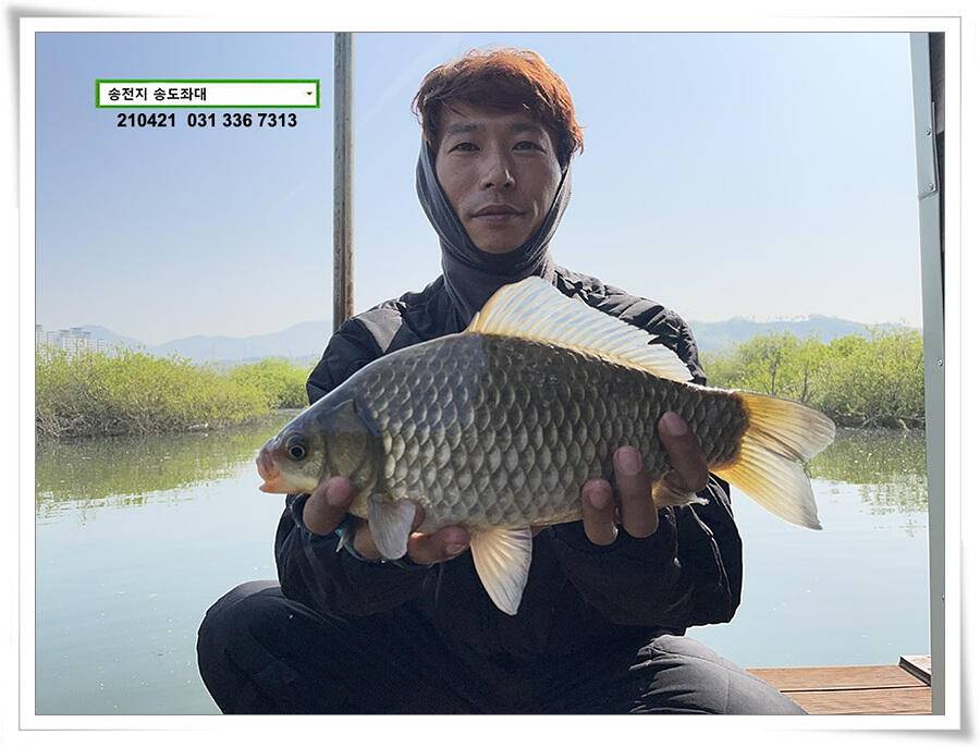 다시 만난 4짜송전지 송도좌대 조황 (유료터정보 - 유료터점주조황)