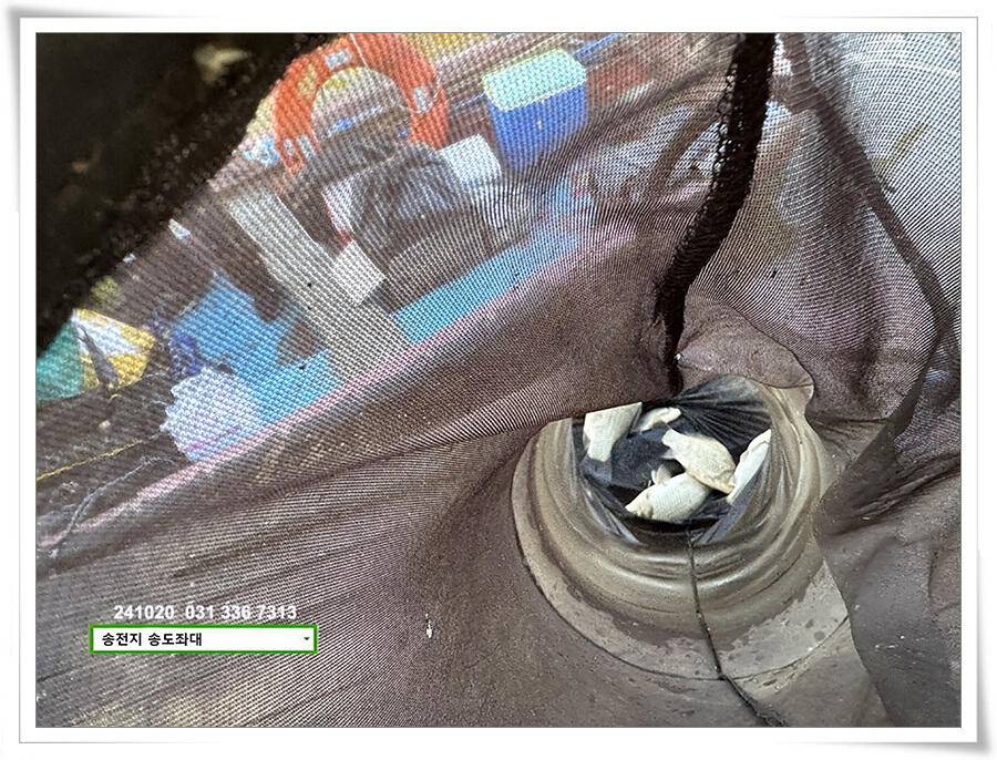 안정된 오름세 (유료터정보 - 유료터점주조황)