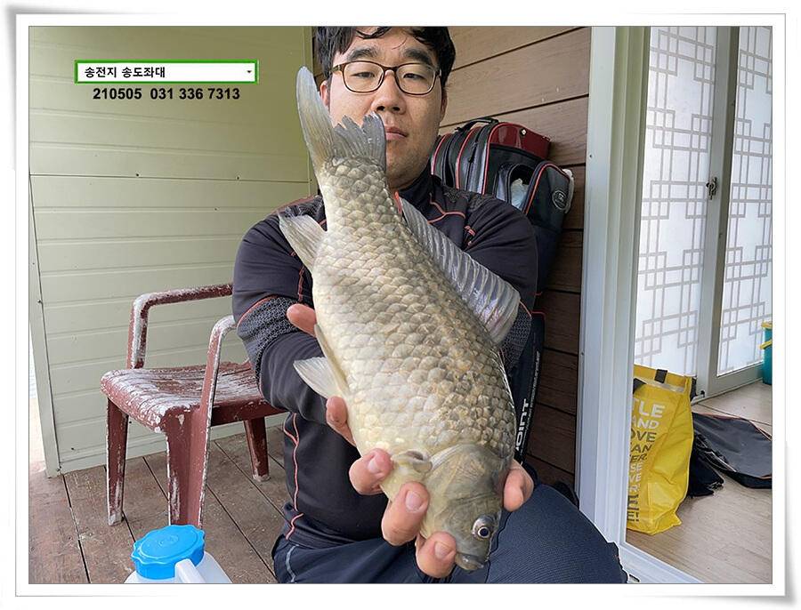 어른이 날 4짜송전지 송도집 좌대 조황 (유료터정보 - 유료터점주조황)