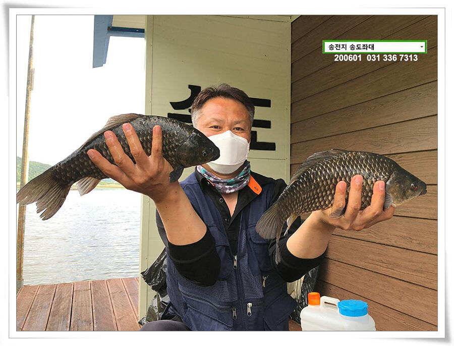송전지 송전낚시터 송도좌대 조황 (유료터정보 - 유료터점주조황)