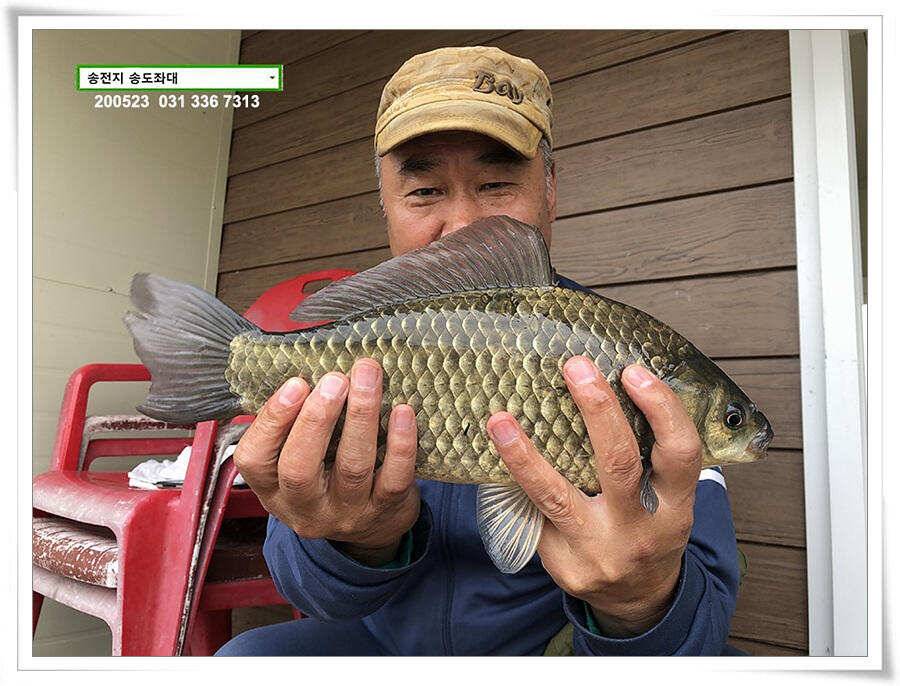 늦바람 난 송전지 조황 (유료터정보 - 유료터점주조황)