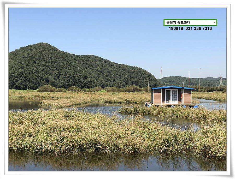 전투배치 (유료터정보 - 유료터점주조황)