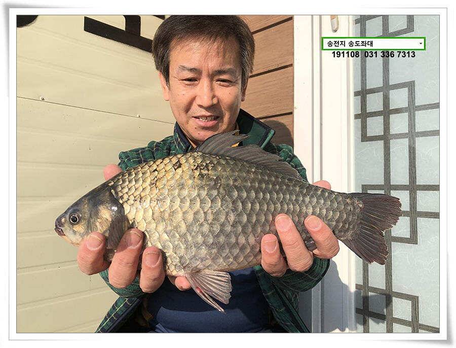 오랜만에 가을비 (유료터정보 - 유료터점주조황)