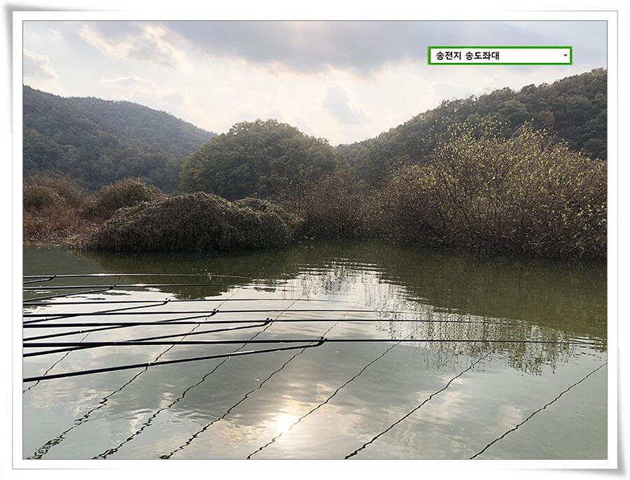 시즌 막바지 (유료터정보 - 유료터점주조황)