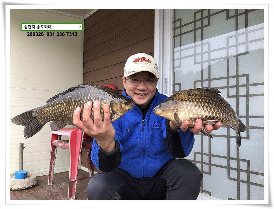 산란 송전지 송도좌대 조황 (유료터정보 - 유료터점주조황)