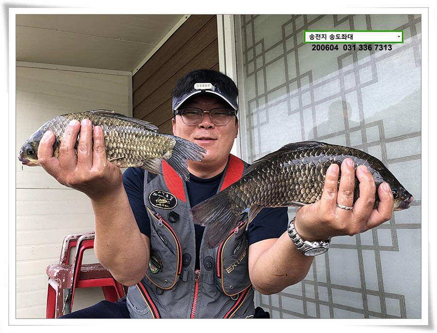 송전지 송도좌대 조황 (유료터정보 - 유료터점주조황)