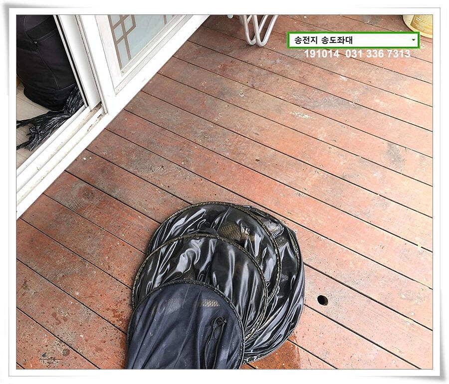 가을볕 드는 송도좌대 조황 (유료터정보 - 유료터점주조황)