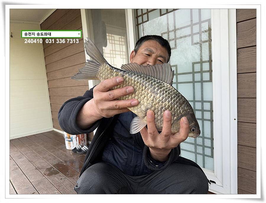 4짜 외 기타등등 (유료터정보 - 유료터점주조황)