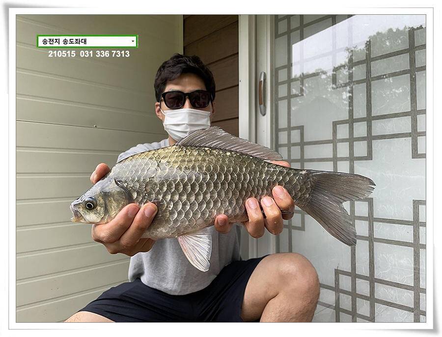 송전지 송도좌대 조황 (유료터정보 - 유료터점주조황)