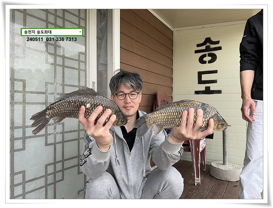 덩어리 혹은 마릿수 (유료터정보 - 유료터점주조황)