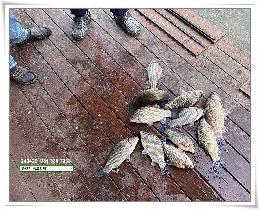 흐린 날에 4짜 (유료터정보 - 유료터점주조황)