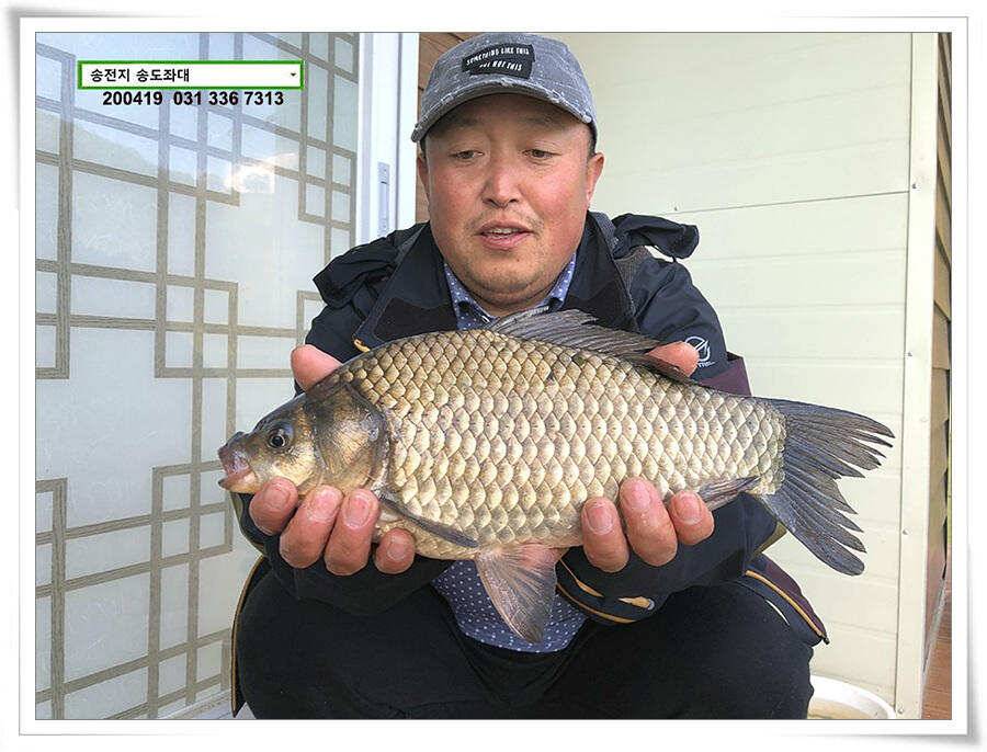 송전지 송전낚시터 송도좌대 조황 (유료터정보 - 유료터점주조황)