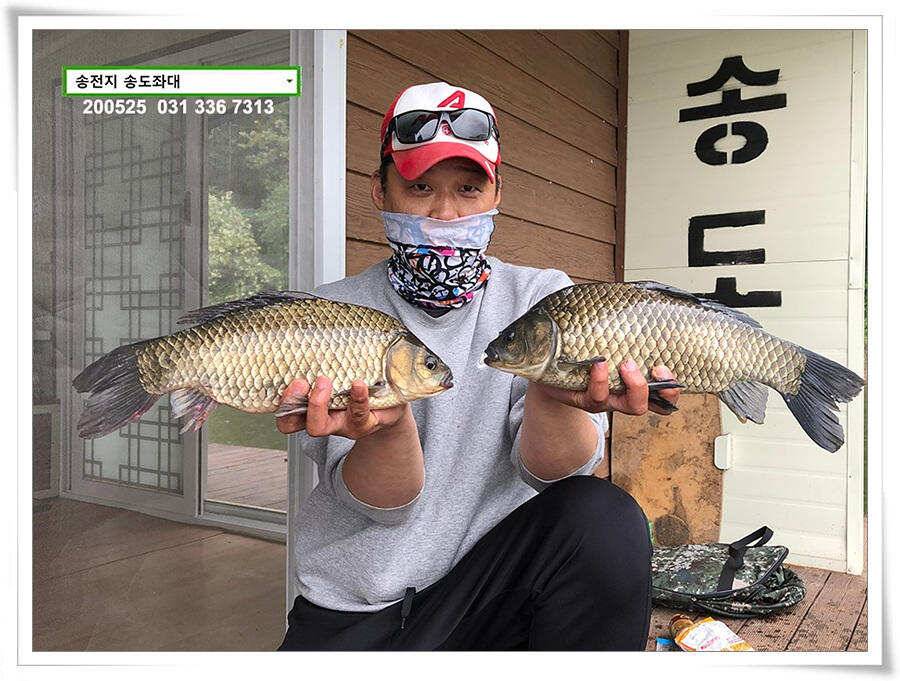 42cm송전지 송도집 좌대 조황 (유료터정보 - 유료터점주조황)