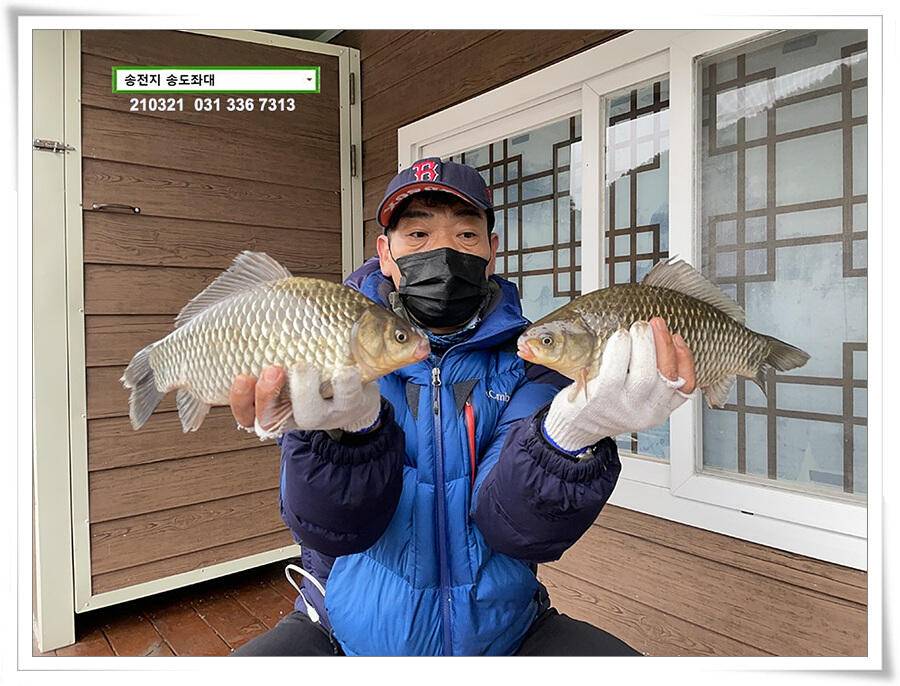 4짜 혹은 마릿수 송전지 송도좌대 조황 (유료터정보 - 유료터점주조황)