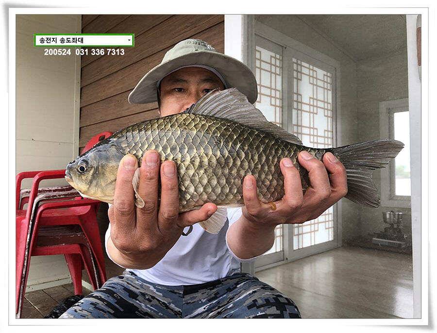 거꾸로 가는 송전지 시계 (유료터정보 - 유료터점주조황)