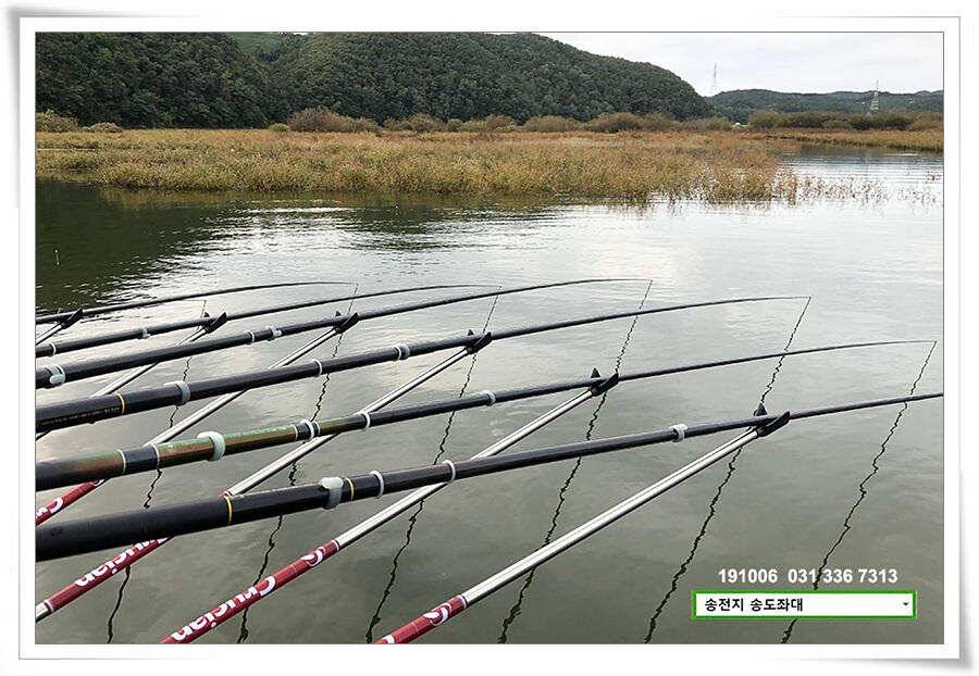 태풍 후 안정세 (유료터정보 - 유료터점주조황)
