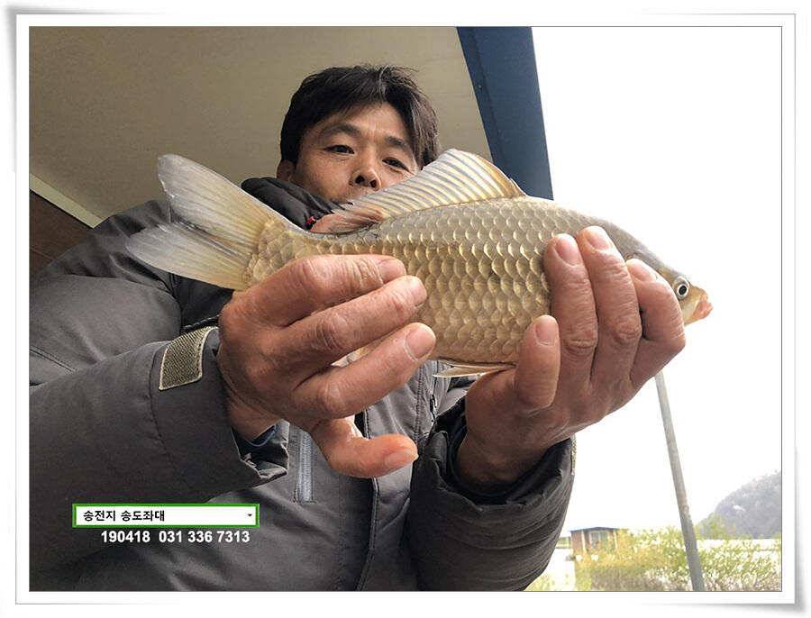 꽃피는 봄이 오면 (유료터정보 - 유료터점주조황)