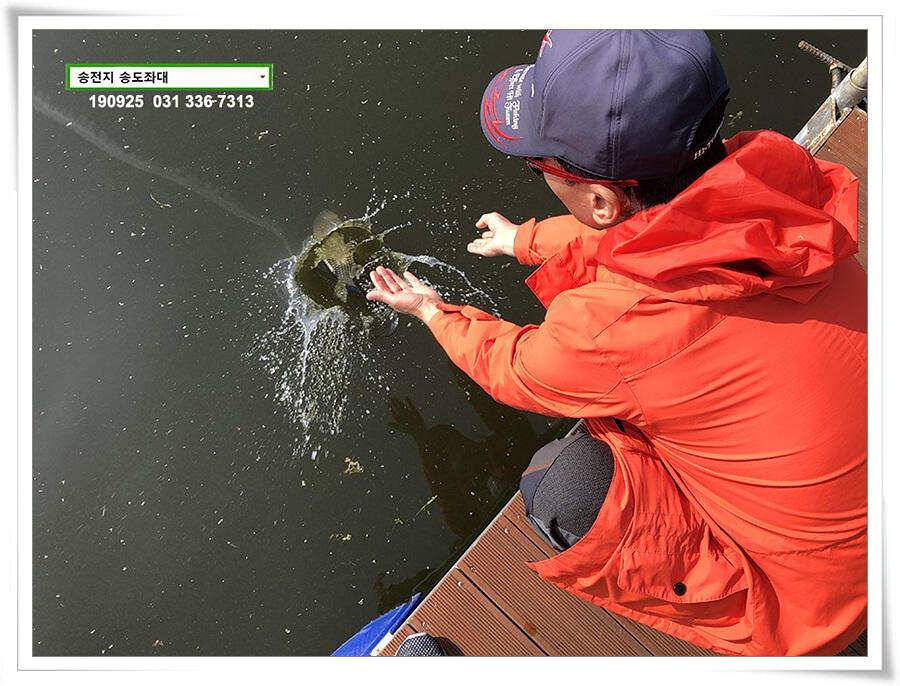 스멀스멀 (유료터정보 - 유료터점주조황)