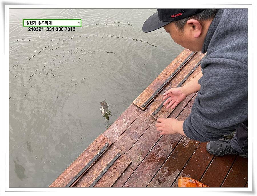 화려한 철수송전지 송도좌대 조황 (유료터정보 - 유료터점주조황)