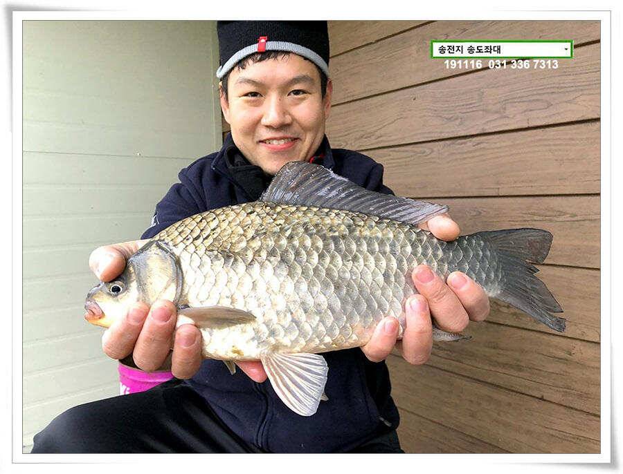 마지막 덩어리 (유료터정보 - 유료터점주조황)