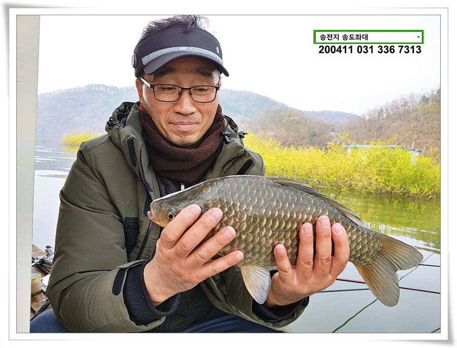 2차 산란 송전지 송도좌대 조황 (유료터정보 - 유료터점주조황)