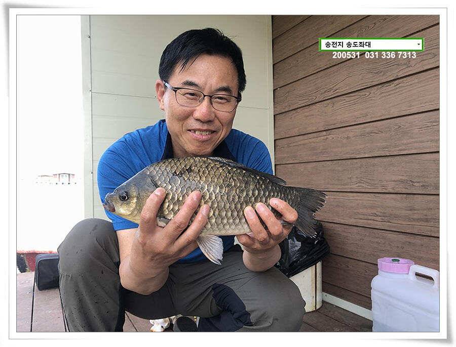 2차 직딩의 난송전지 송도좌대 조황 (유료터정보 - 유료터점주조황)