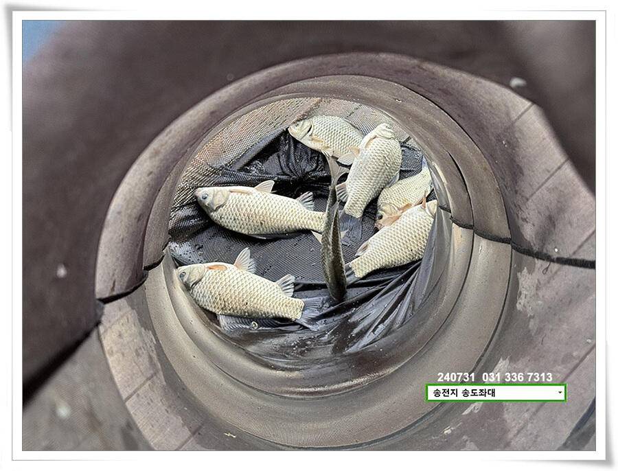 장마 후 (유료터정보 - 유료터점주조황)