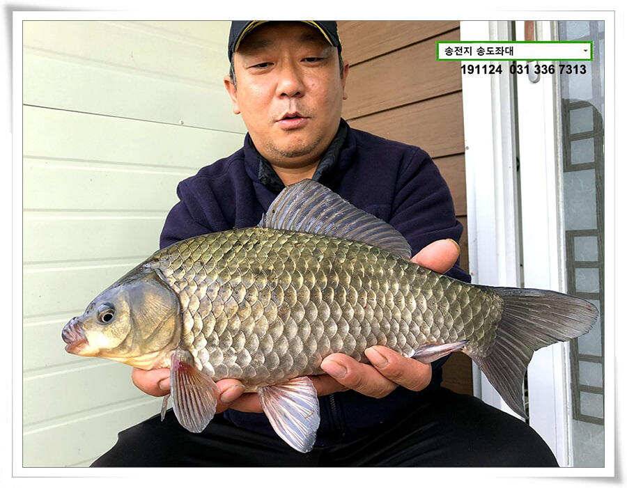 11월의 어느 멋진 날에 (유료터정보 - 유료터점주조황)